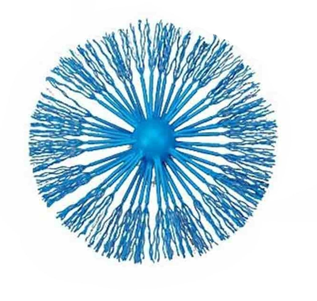 6" ProSpin Brush (PSB-6)